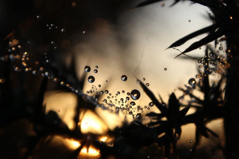 voda, nebe, zblízka, tma, makro fotografie, slunečnímu záření