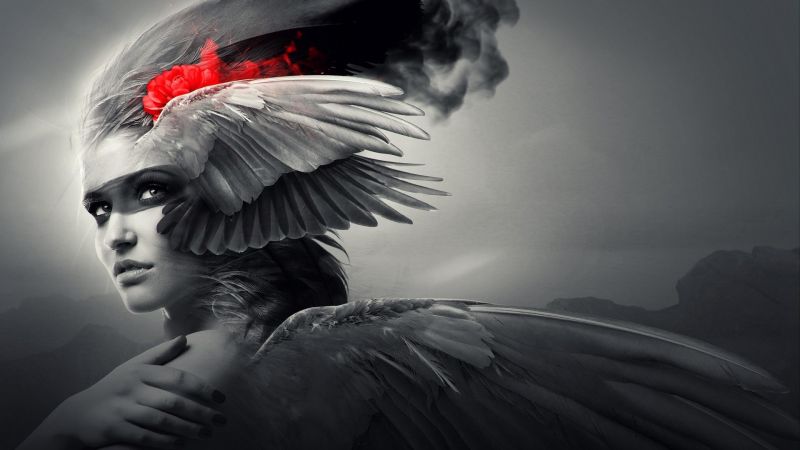 illustrazione, monocromo, Fantasy art, oscurità, ala, nero