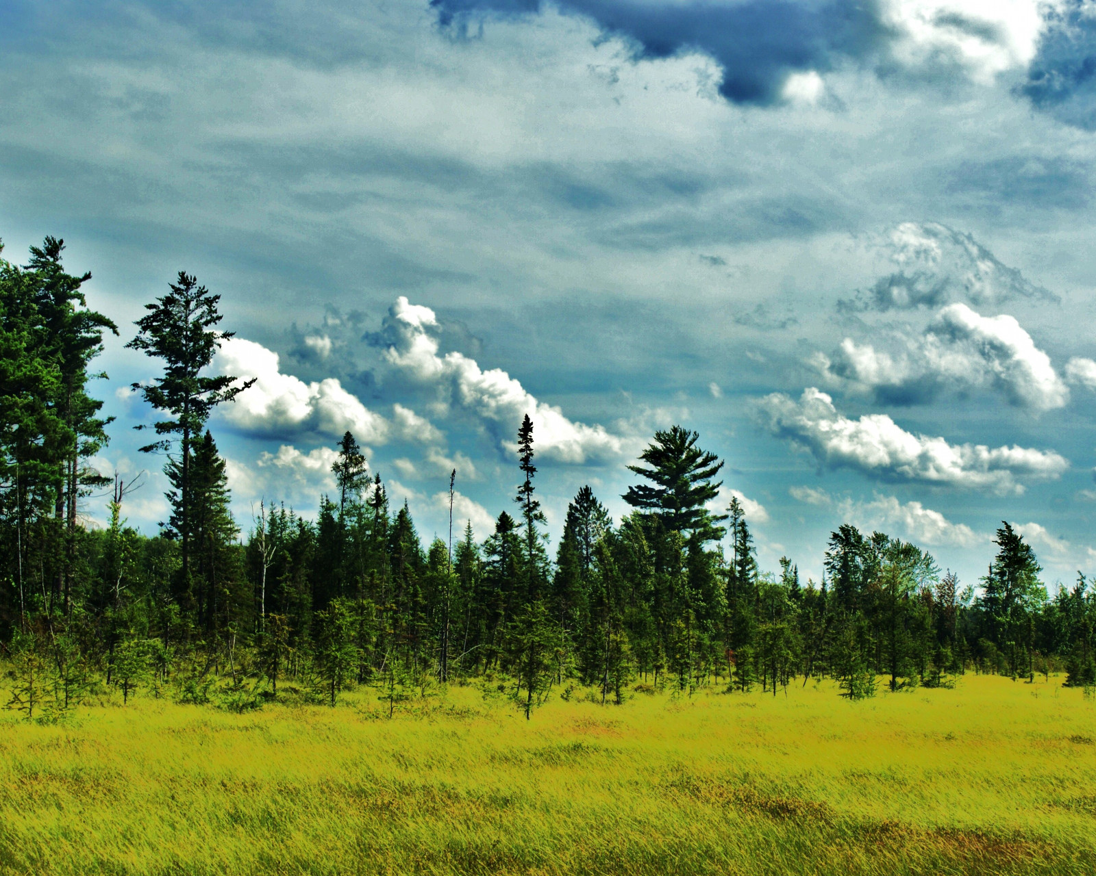 slunečnímu záření, stromy, krajina, les, kopec, Příroda, tráva, nebe, pole, mraky, ráno, horizont, Sony, divočina, bažina, Wisconsin, plošina, step, ATV, Sněžný skůtr, mrak, strom, hora, květ, lučina, rostlina, pastvina, stezka, louka, prostý, mygearandmepremium, mygearandmebronze, A300, prérie, venkov, místo výskytu, přírodní prostředí, atmosférický jev, dřevina, horských reliéf, geografický rys, ekosystém, pohoří, meteorologický jev, savana, obchodník střižním zbožím, wi, Iron County