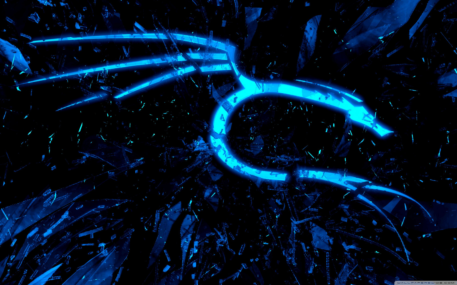 Fondos De Pantalla Kali Linux Seco Kali Linux NetHunter Azul fondos-de-pantalla-kali-linux-seco-kali-linux-nethunter-azul
