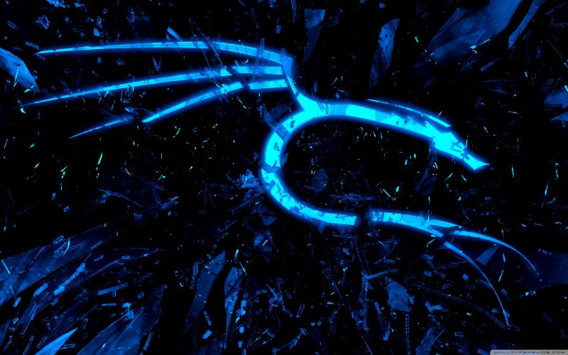 卡利Linux,黑客,Kali Linux NetHunter,Linux,蓝色,龙