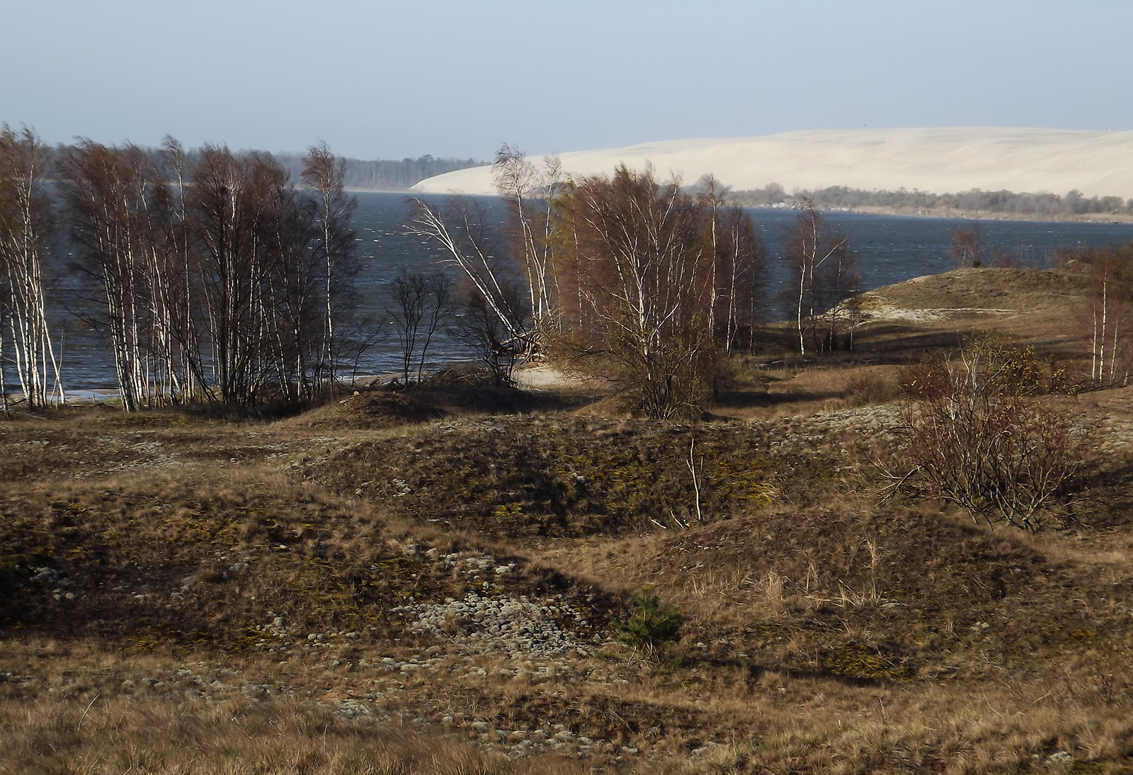 přímořská krajina, krajina, písek, duna, plivat, Nida, Litva, Curonian