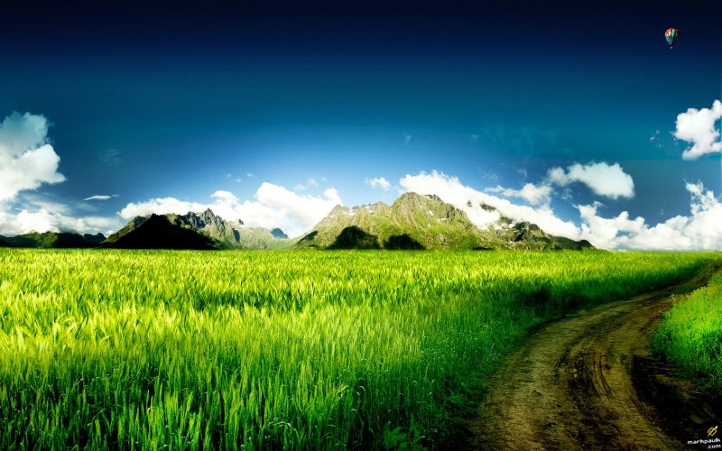 sunlight, landscape, hill, nature, grass, sky sunlight, landscape, hill, nature, grass, sky