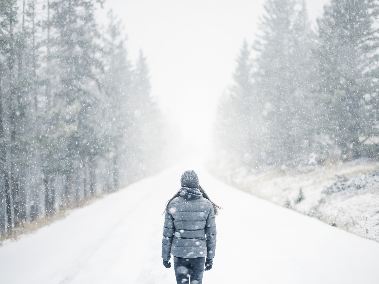 ต้นไม้, ผู้หญิง, มองไป, สีน้ำตาล, หิมะ, ฤดูหนาว, หมอก, คนเดียว, การแช่แข็ง, สภาพอากาศ, ฤดู, พายุหิมะ, รองเท้า, 2048x1536 px, ปรากฏการณ์บรรยากาศ, ปรากฏการณ์ทางธรณีวิทยา, พายุฤดูหนาว