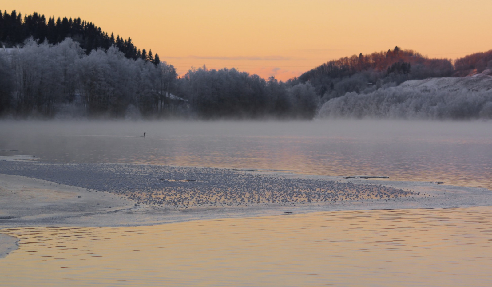 krajina, bílý, ptactvo, západ slunce, jezero, voda, Příroda, pobřeží, odraz, sníh, zima, svítání, led, Studený, Norsko, večer, ráno, mlha, mráz, řeka, Kánon, divočina, soumrak, Trondheim, mlha, svítání, sezóna, vlna, zamrzlý, nebe, sn, Vinter, natur, eos, flickrstruereflection1, flickrstruereflection2, norge, ilobsterit, 500D, jezero, atmosférický jev, tělo z vody, Kjetil, oráč, Západ slunce, Nidelven, Nidelva, bru, Bratsberg, leirfossen, vreleirfoss, sjetnemarka, ga rdsbruk