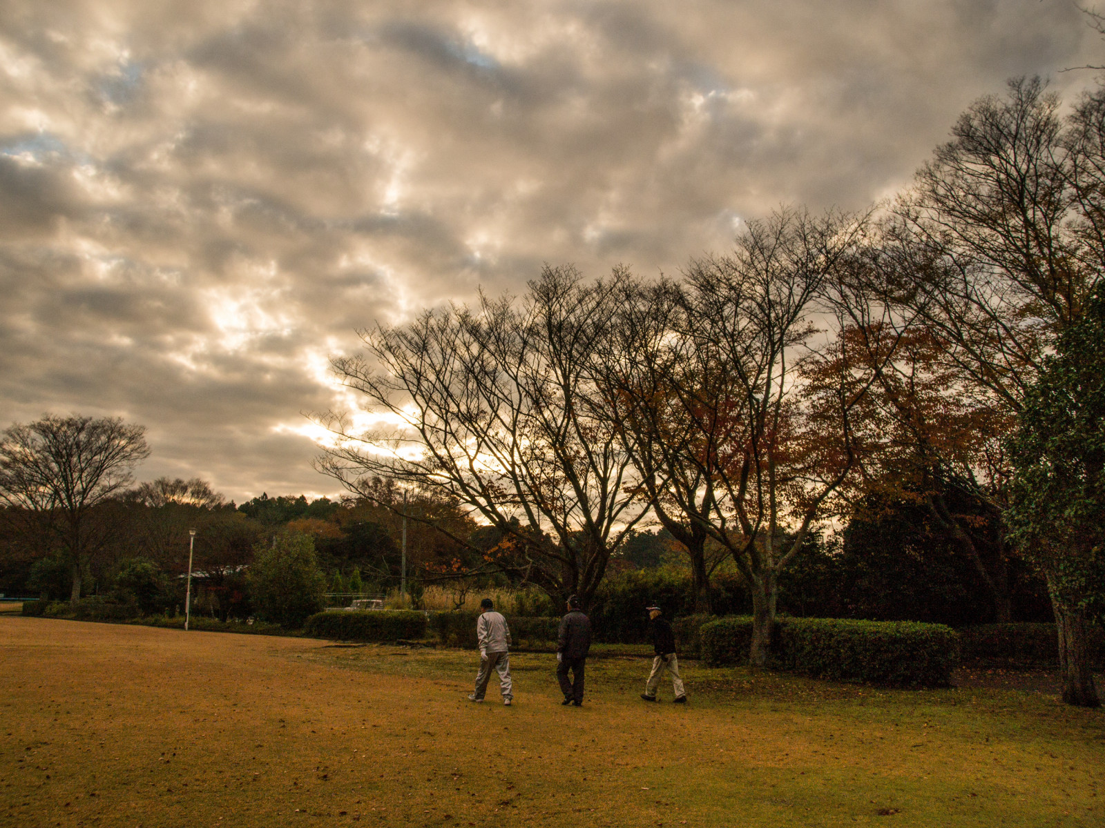 nebe, mrak, strom, Příroda, dřevina, list, větev, pole, večer, rostlina, atmosféra, ráno, slunečnímu záření, Atmosféra Země, meteorologický jev, tráva, jev, venkov, krajina, jaro, louka, během dne, svítání, podzim, horizont, západ slunce, soumrak, park, svítání