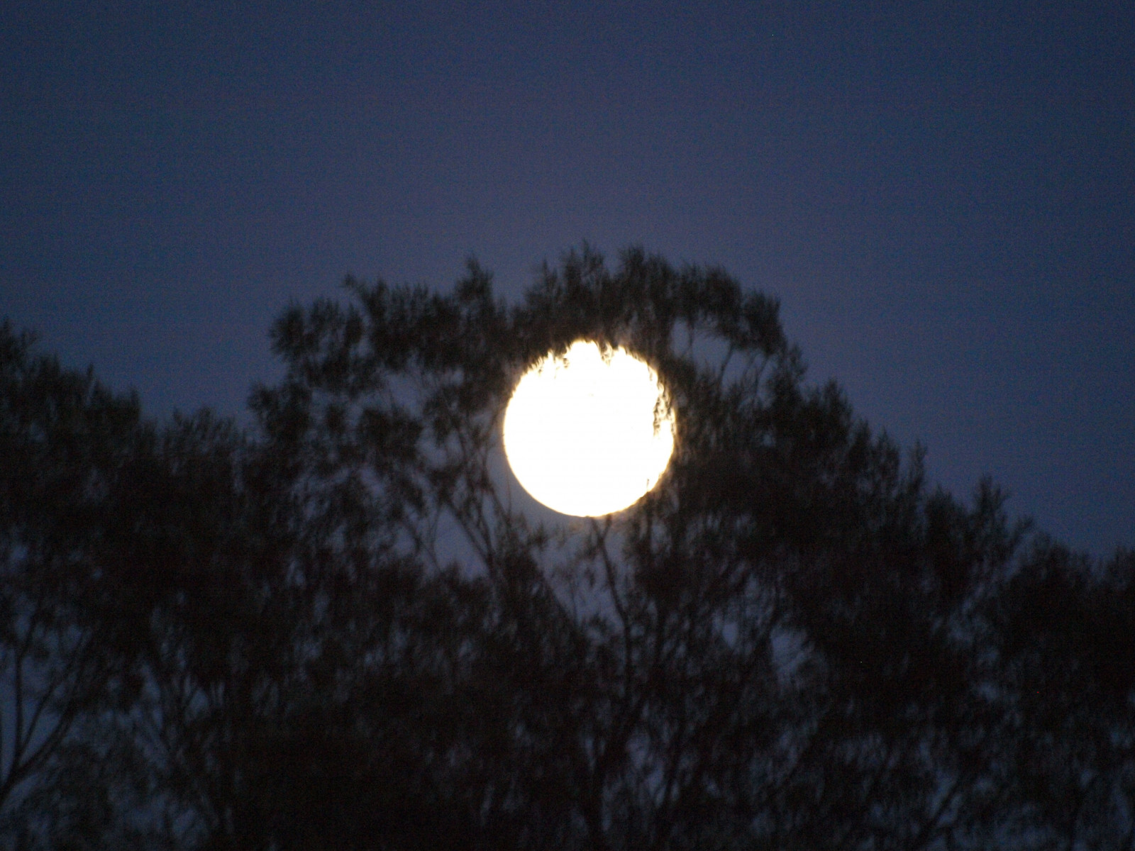 slunečnímu záření, noc, nebe, Měsíc, slunce, měsíční svit, atmosféra, astronomie, 2012, světlo, mrak, tma, mond, astronomický objekt, půlměsíc, úplněk, nebeská událost