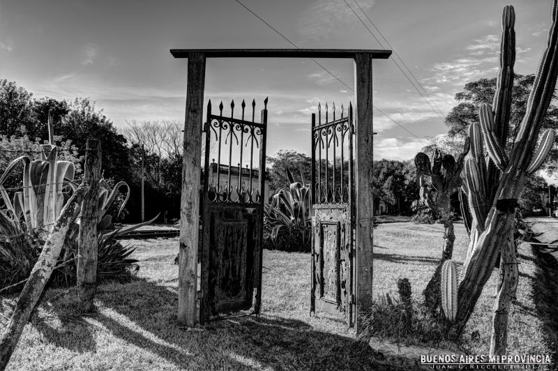 černobílý, Černý a bílý, monochromatické fotografování, fotografování, strom, nebe