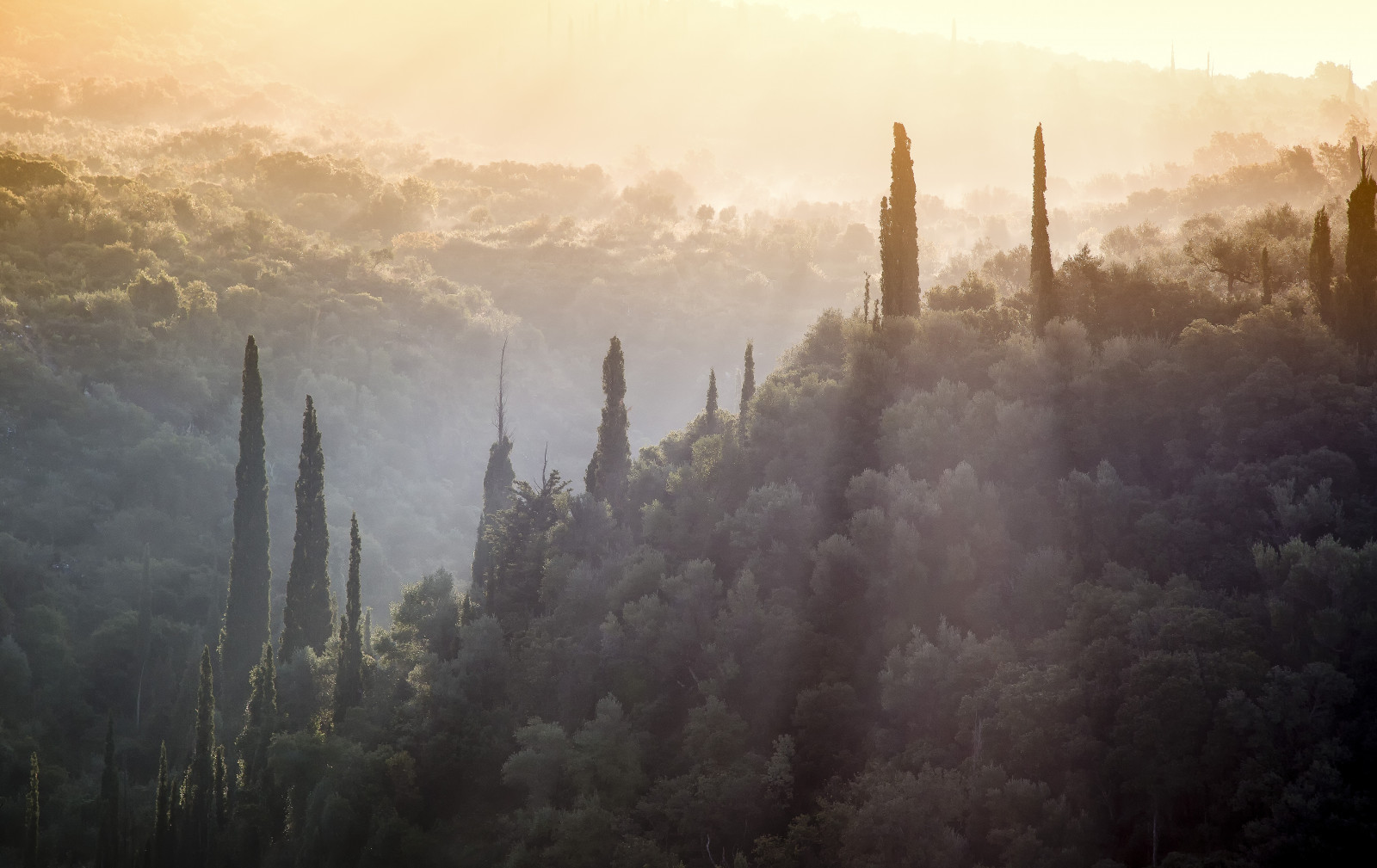 slunečnímu záření, stromy, les, západ slunce, Příroda, nebe, svítání, večer, ráno, mlha, atmosféra, Řecko, soumrak, opar, mrak, stíny, mlha, hora, počasí, svítání, Sluneční svit, HSS, Peloponés, atmosférický jev, canon5dmkiii, Kotroni