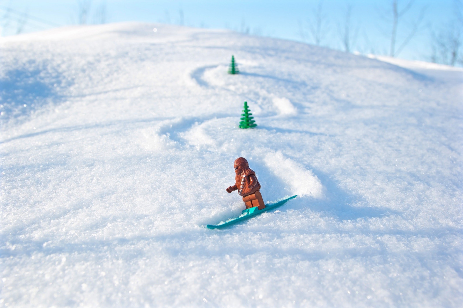 sportovní, Hvězdné války, hračky, humor, sníh, zima, LEGO, Harri Himanen, Chewbacca, snowboarding, snowboard, lyžování, Lyže, sezóna, piste, sportovní vybavení, geologický fenomén, rekreaci ve volné přírodě, zimní sport, lyžařské vybavení, alpské lyžování, Telemark, sjezd, lyžařské cross, Běžkování, slalom na lyžích, freestyle lyžování
