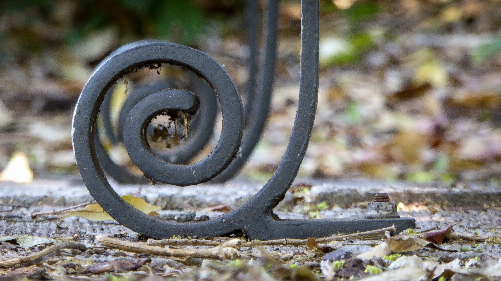 by, fødder, blade, metal, Lumix, grå, rust, maling, leder, bokeh, edderkoppespind, Bolt, Adelaide, igennem, bænke, kviste, grus, ruller, Theen