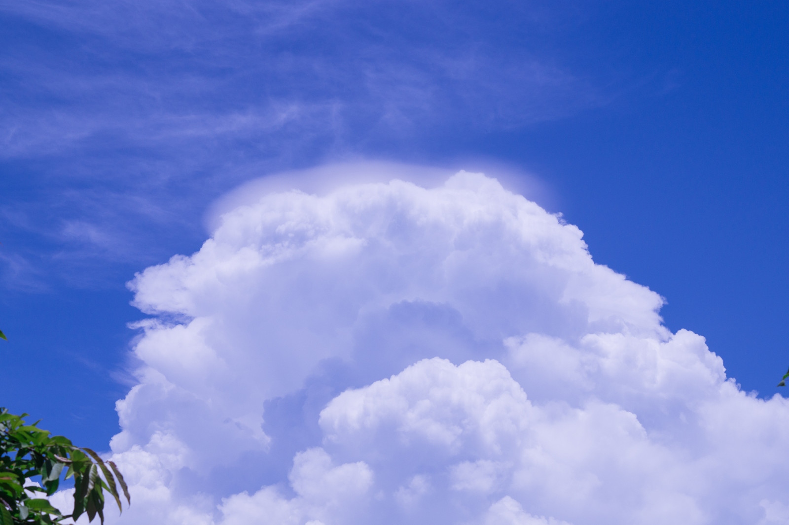 Живые обои облака. Живой обои облако. Форма электрического облака кремеля. Летящие облака анимация. Небо обои.