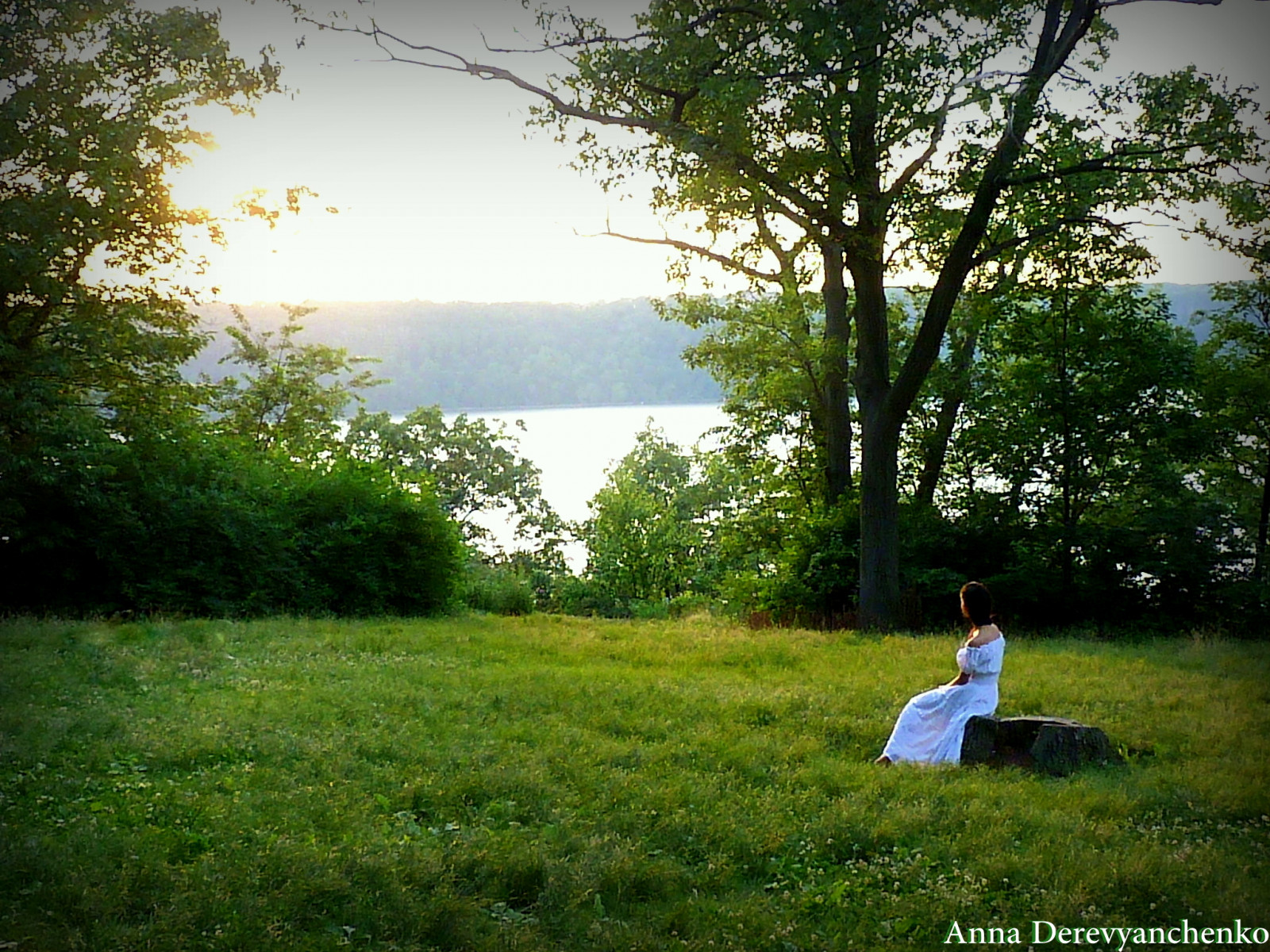 luce del sole, alberi, foresta, bianca, nero, roccia, natura, erba, campo, vestito, verde, mattina, fiume, capelli, estate, Manhattan, albero, foglia, fiore, Washington, solitario, ragazza, Hudson, donna, ceppo, prato, desiderio, Qui, tu, prato, bosco, area rurale, habitat, pianta legnosa, chiostri, sono stati, hieghts