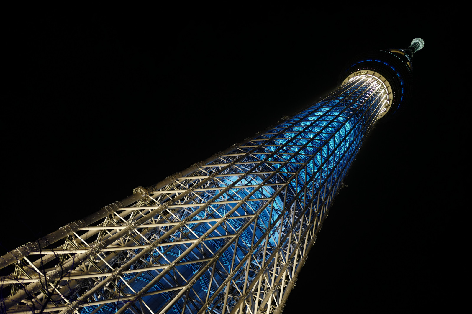 Japan, Nacht-, die Architektur, Betrachtung, blau, Turm, Leica, Tokio, Jp, Himmelsbaum, Licht, Beleuchtet, Vogel, Erleuchtung, Material, gestalten, Linie, Flügel, Iki, Wahrzeichen, Tokyoskytree, Summilux, Leicaq, Summilux1728, Q, 1728, Oshiage, Nahansicht, Makrofotografie