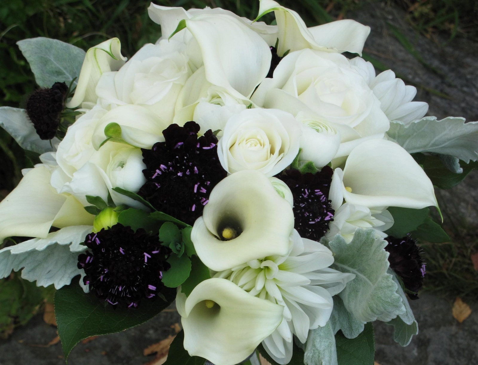Wallpaper roses, calla lilies, white, flowers, bouquets, composition 2000x1530 wallpaperUp