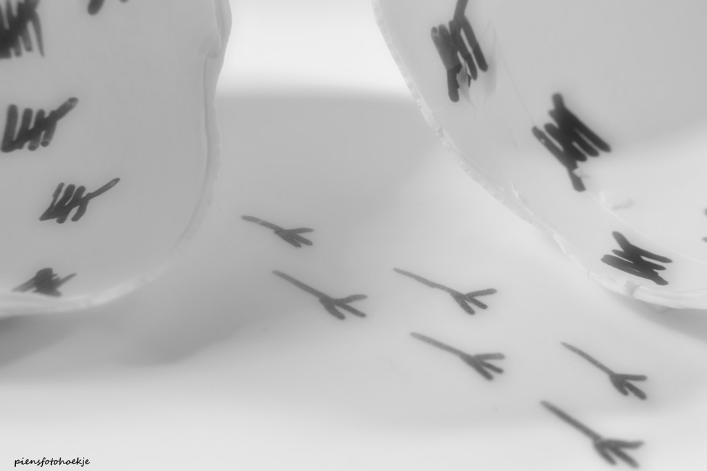 výkres, bílý, jídlo, černobílý, makro, Nikon, chůze, kaligrafie, Černý a bílý, NIKKOR, macromondays, pondělky, tělesné, dof, vejce, detail, stopa, křídlo, noiretblanc, BNW, skica, téma, piensfotohoekje, stillife