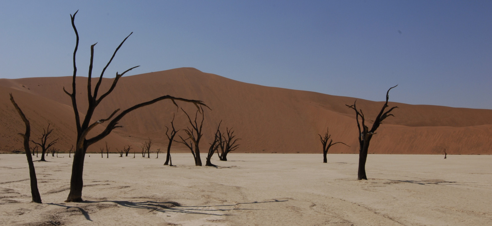 krajina, mrtví, písek, duna, Namibie, akát, Sossusvlei, Deadvlei