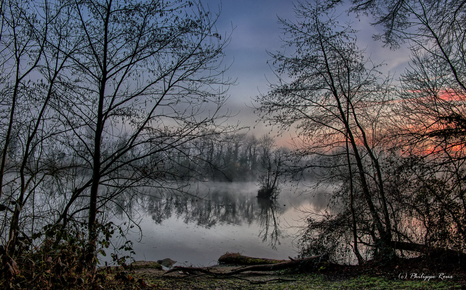 krajina, les, jezero, Příroda, odraz, větev, ráno, mlha, řeka, divočina, Fujifilm, mokřadní, mrak, strom, podzim, mlha, list, svítání, rostlina, sezóna, fuji, zálesí, venkov, místo výskytu, přírodní prostředí, atmosférický jev, dřevina, XM1, xc1650mm