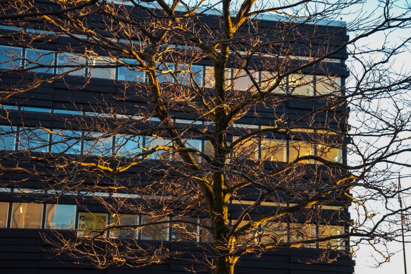 slunečnímu záření,město,ulice,odraz,nebe,zima