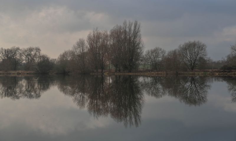 Milton Keynes,buckinghamshire,paesaggio,Inghilterra,inverno,albero