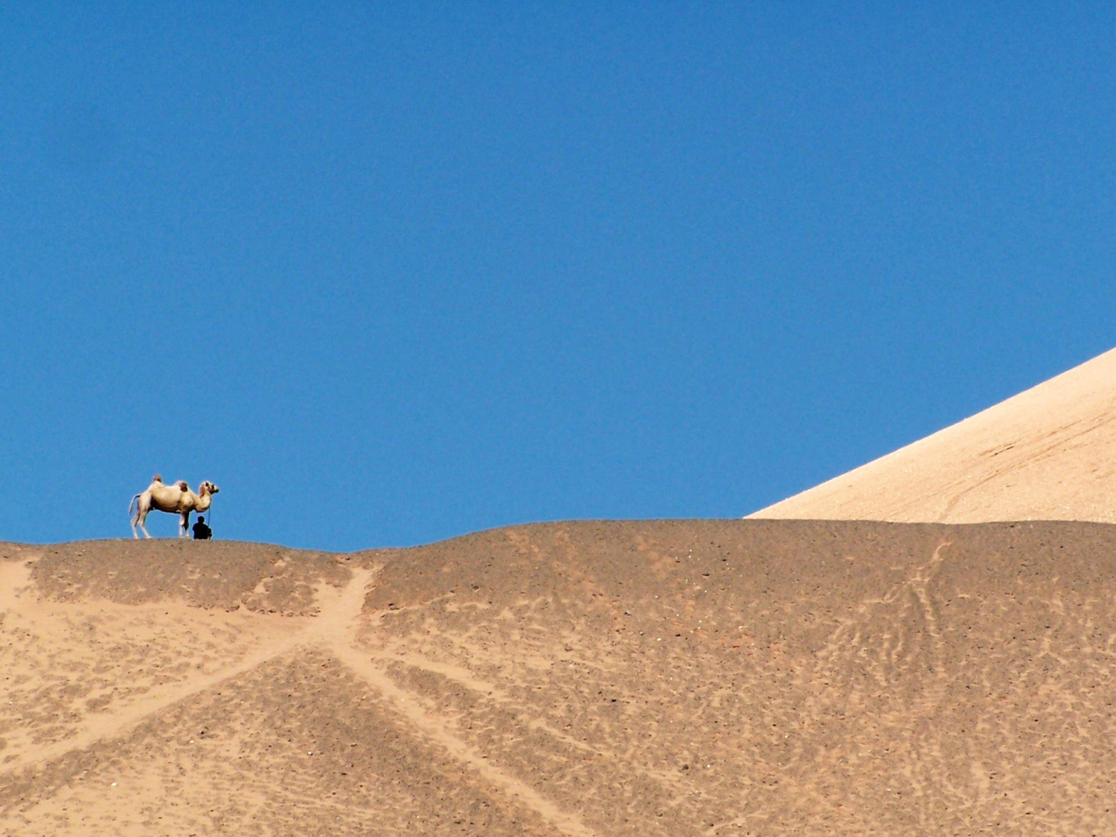landskab, Kina, bakke, sand, himmel, ørken, horisont, klit, Sahara, ryg, Terræn, Sky, bjerg, kamel, wadi, Lipariske landskabsform, erg, økoregion, syngende sand, thomastassy, gobi