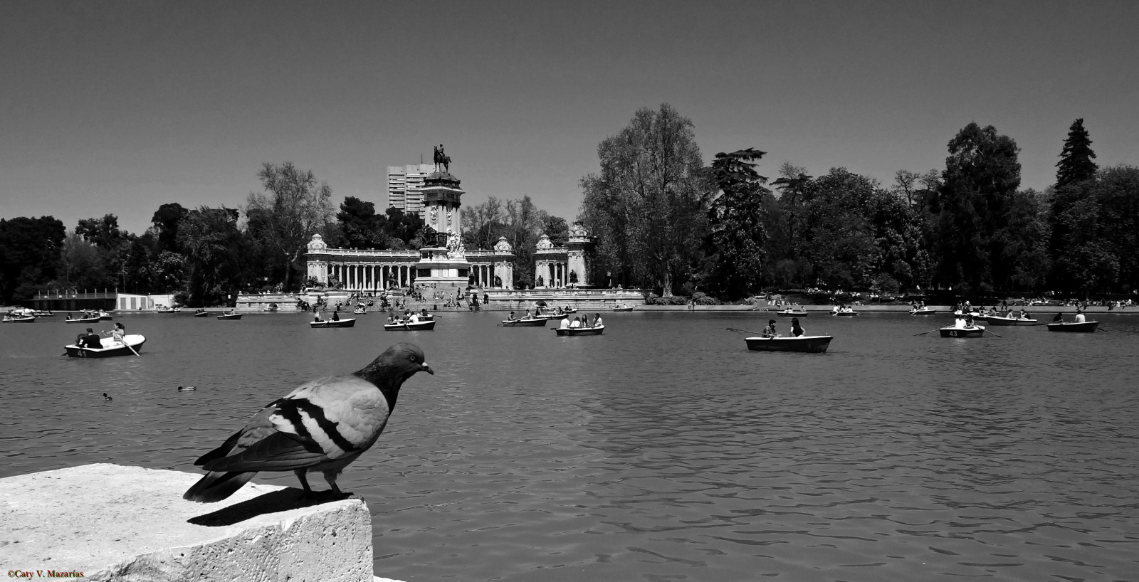 sort, monokrom, blomster, sø, vand, humor, afspejling, sne, vinter, køretøj, aften, Spanien, Madrid, venner, naturaleza, vida, flores, Vær hilset, flerfarvet, callesdemadrid, Espana, vandveje, sort og hvid, monokrom fotografering, Descanso, Libertad, dejlig dag, kisses, comunidaddemadrid, juegos, demadridalcielo, findesemana, gentedemadrid, ilovemadrid, i Spanien, noalaviolencia, peopleinmadrid, Risas, seeninmadrid, Tolerancia, turismodemadrid, vistoenmadrid, amomadrid, jugandoconlafotograf en, genteenlacalle, primaveraenmadrid