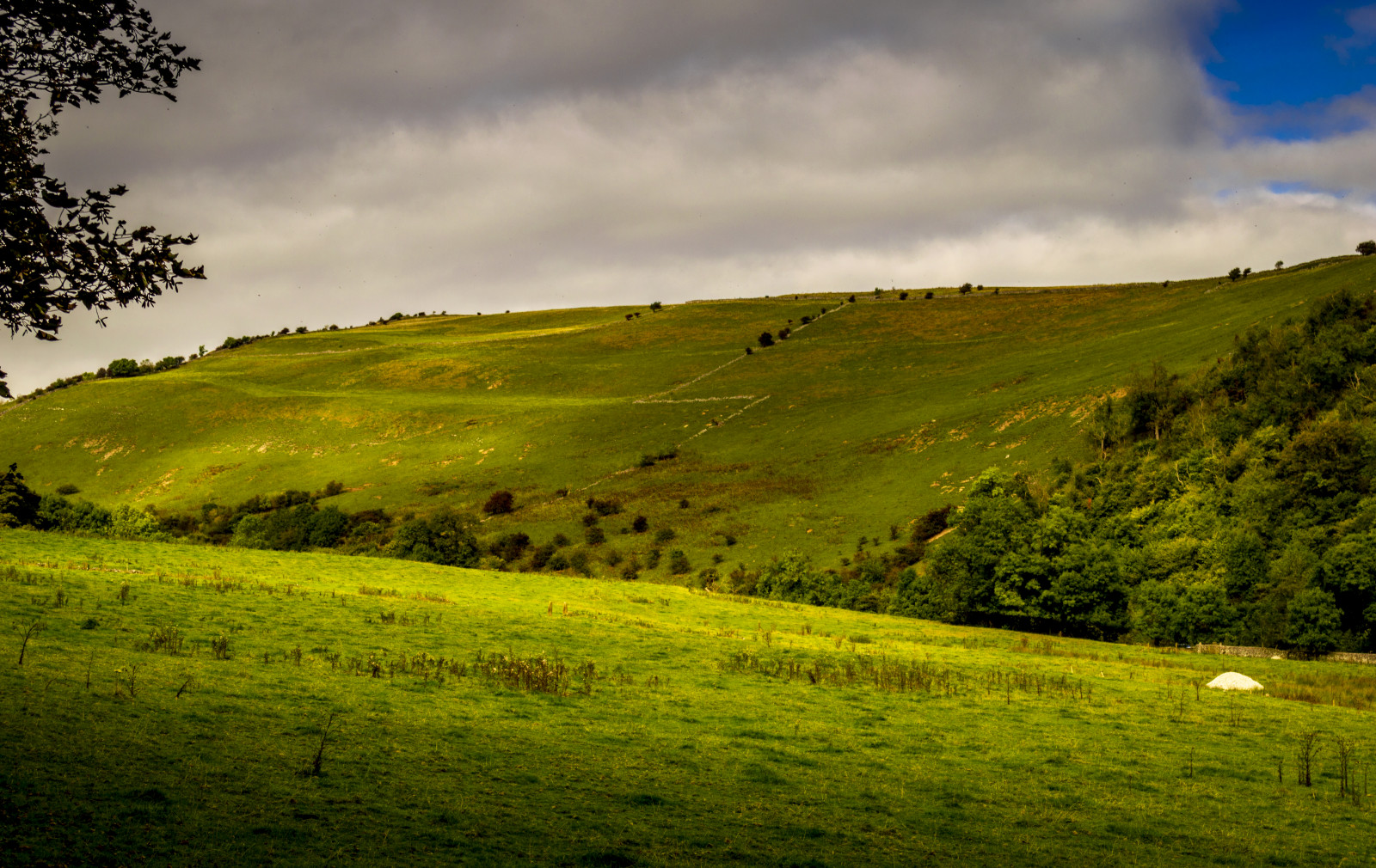 podzim, nebe, tráva, mraky, Nikon, Derbyshire, Peak District, nationaltrust, nikond3200, monsaldale, D3200, trevorbowling