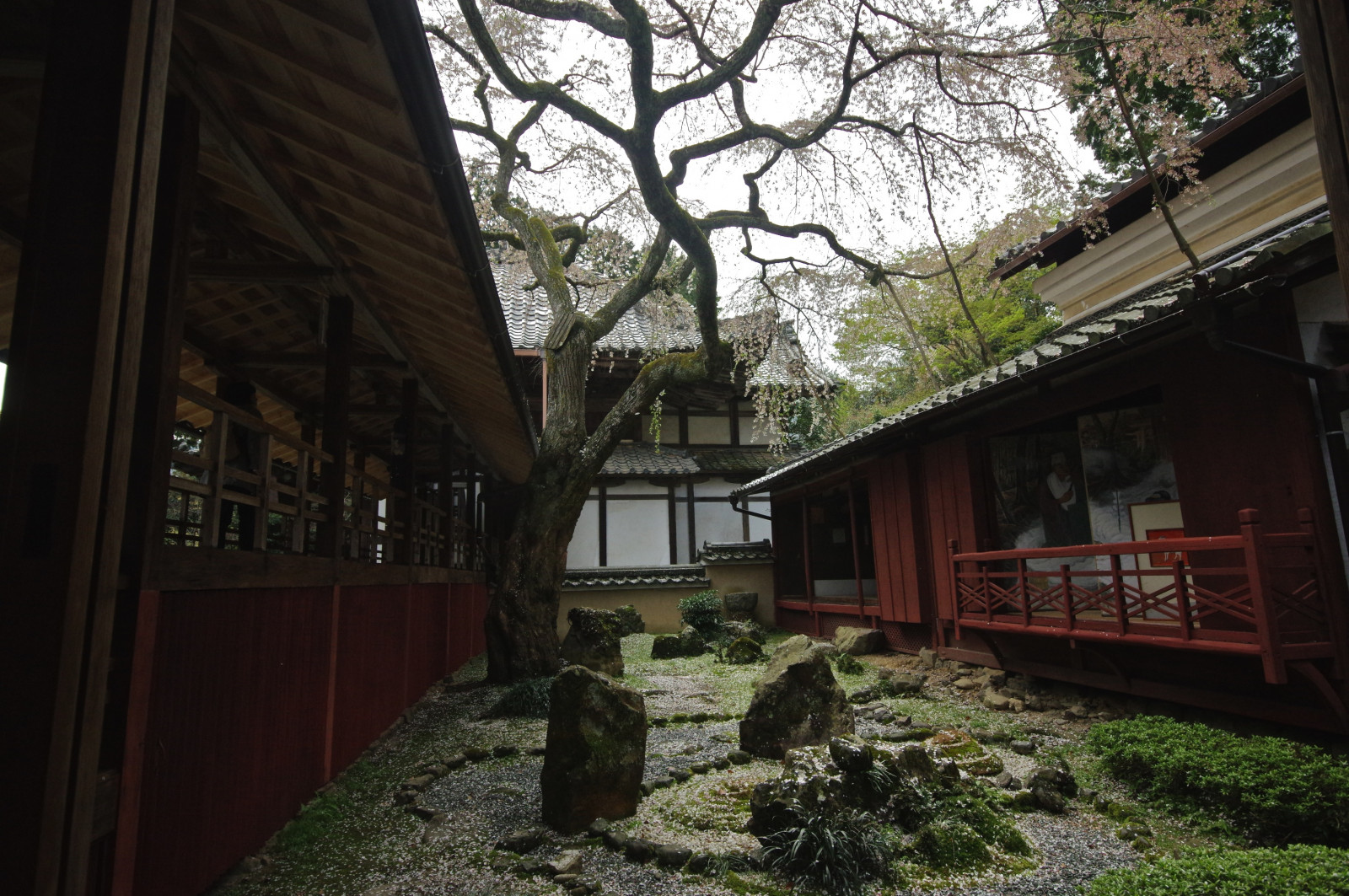 rostlina, strom, Dům, architektura, domů, turistická atrakce, chalupa, krajina, jaro, outdoor struktura, fasáda, okno