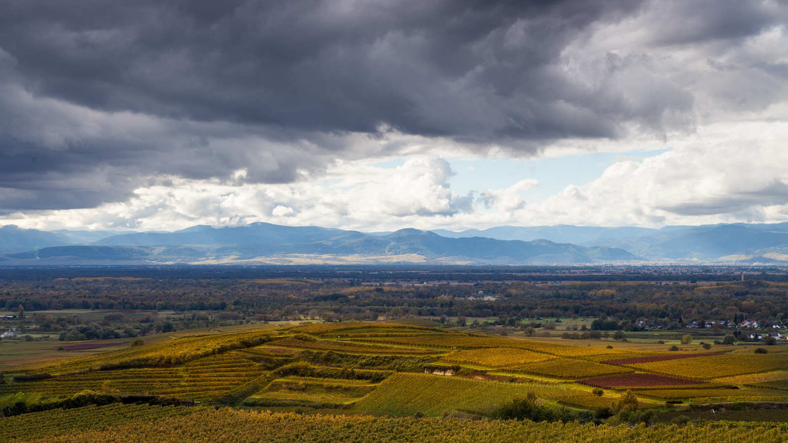 krajina, deutschland, vinice, víno, Herbst, Landschaft, zrnko vína, Elsass, Kaiserstuhl, Weinberg, bischoffingen, Herbstlaub, Eichberg, Burkheim, Bádensko-Württembersko, Traube, Vogtsburg, Weinbau, Oberrotweil, Vogesen, Mondhalde, 5dmarkii, Oberrheinebene, vogtsburgimkaiserstuhl, Ef24105f40lis