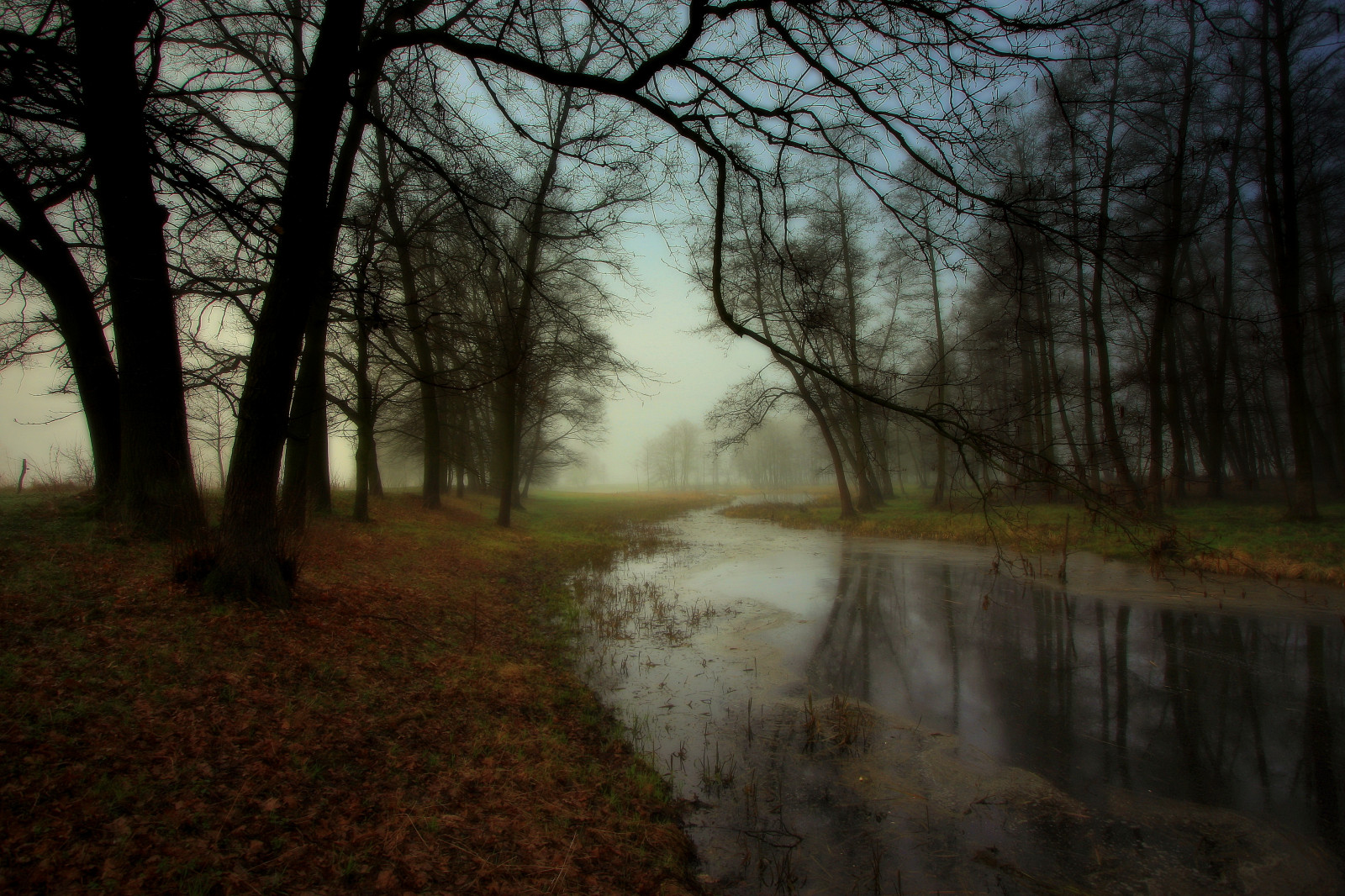 slunečnímu záření, krajina, les, jezero, Příroda, odraz, zima, větev, ráno, mlha, zrcadlo, Kánon, divočina, mokřadní, strom, podzim, mlha, list, počasí, sezóna, jaro, zálesí, Drohiczyn, Cesarz, marcelxyz, místo výskytu, přírodní prostředí, atmosférický jev, dřevina