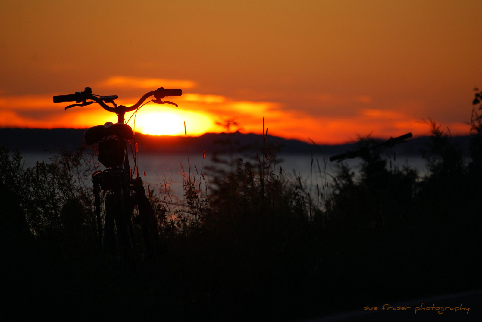 sunlight, landscape, sunset, bicycle, sky, silhouette, sunrise, evening, morning, Sun, orange, horizon, atmosphere, dusk, Michigan, cloud, tree, dawn, afterglow, red sky at morning, ecoregion, suesue2, amazingmich, mackinacisland, summervacation