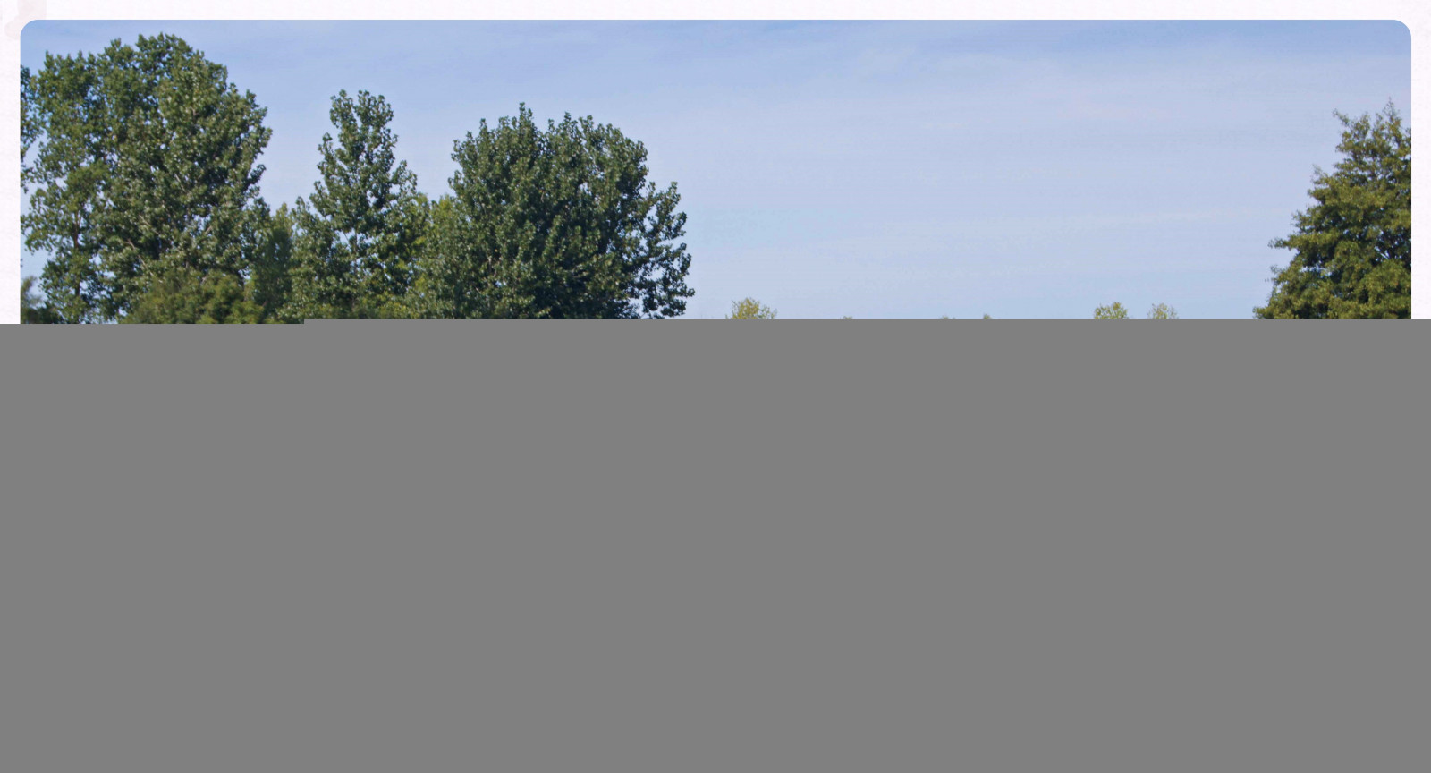 panorama, Maserati, aranha, GT, avião, Vignale, pradaria, solo, habitat, ambiente natural, Ecossistema, 3500