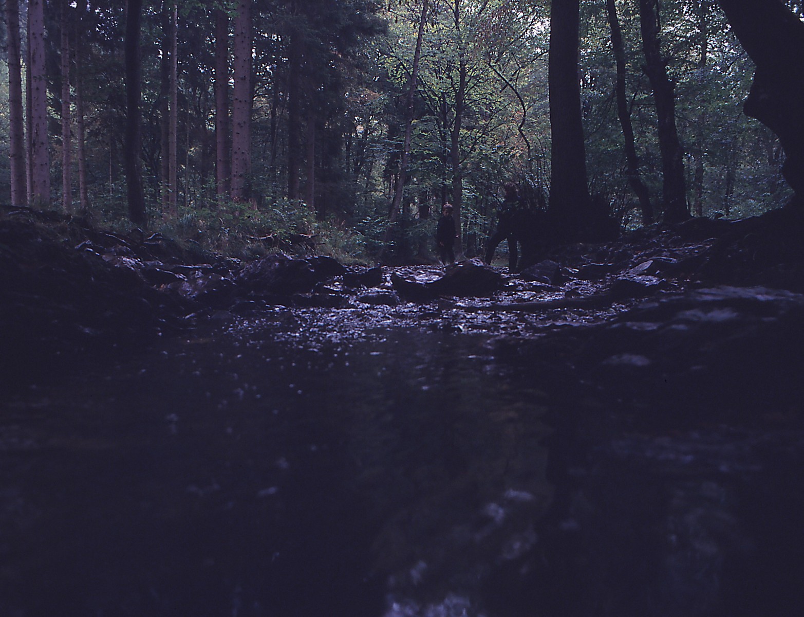 zenzabronica, ETRS, 120, 645, 6x45, Německo, Niemcy, natur, nRW, Příroda, natura, Wald, les, las, Fujifilm, Fujifilmprovia400f, Fujichrome, ROLLFILM, analogový, analog, eifel, deutschland, Německo, bach, baum, drzewo, tr d, strom, vatten, wasser, voda