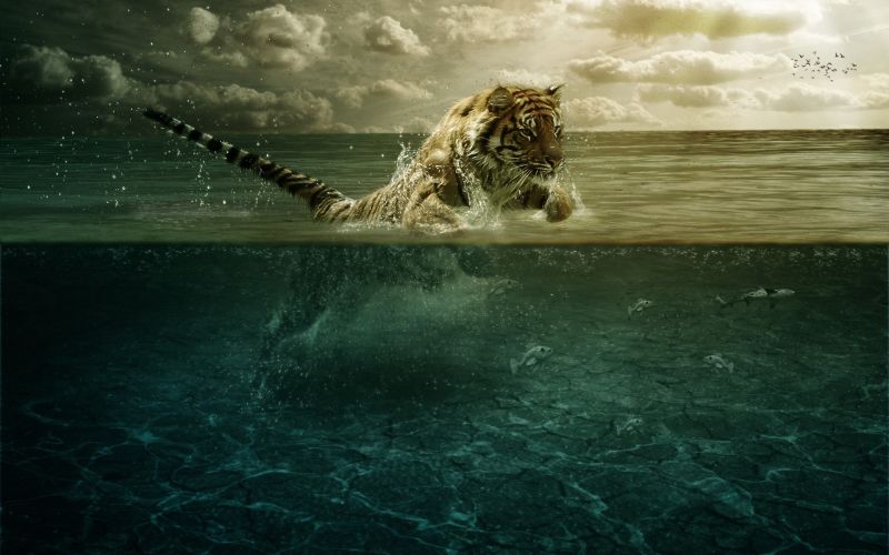digital art, animals, sea, reflection, underwater, lion digital art, animals, sea, reflection, underwater, lion