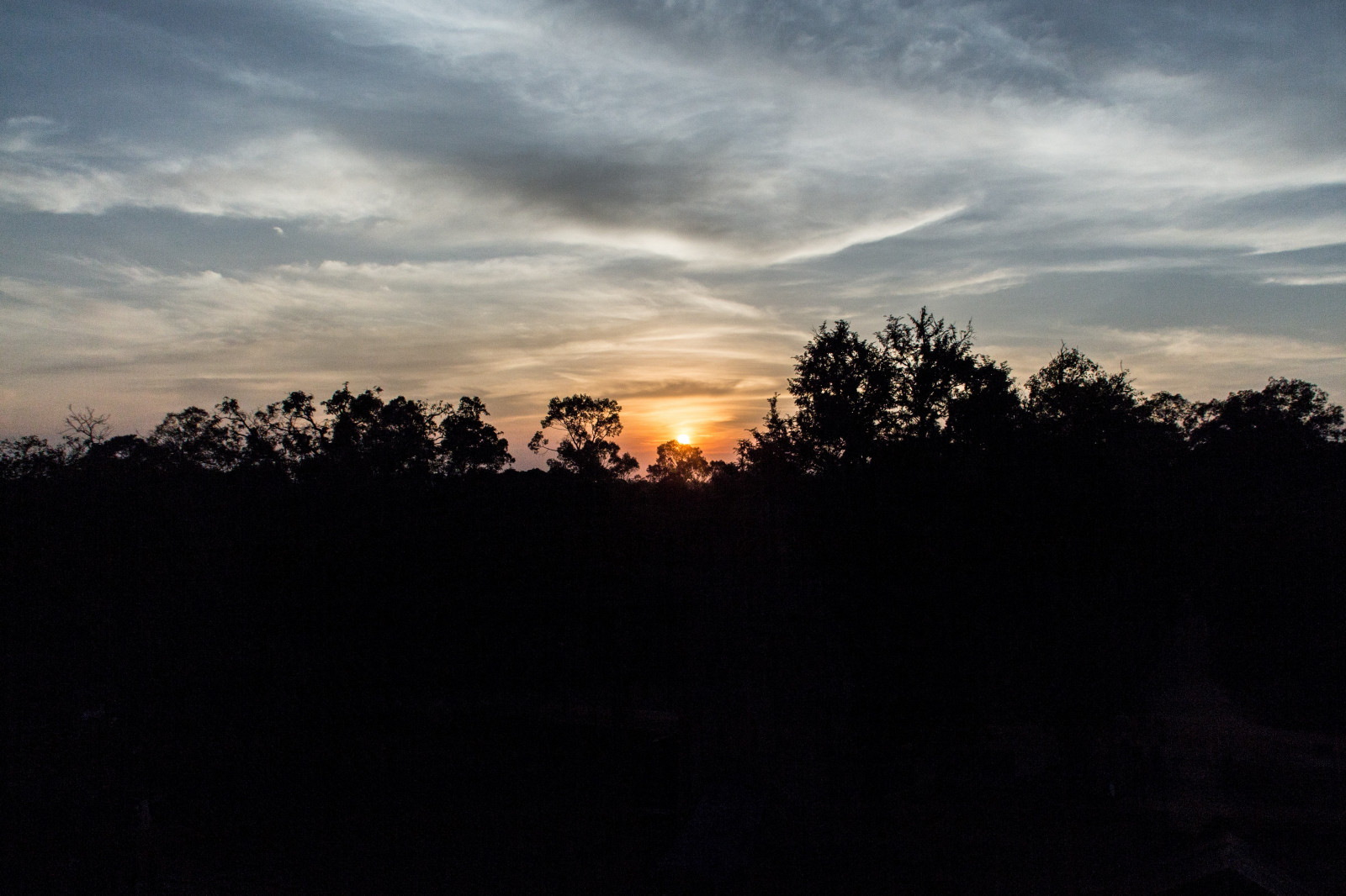 แสงแดด, พระอาทิตย์ตก, อะนิเมะ, ธรรมชาติ, ท้องฟ้า, พระอาทิตย์ขึ้น, ตอนเย็น, เช้า, กัมพูชา, ดวงอาทิตย์, ขอบฟ้า, บรรยากาศ, พลบค่ำ, เมฆ, ต้นไม้, รุ่งอรุณ, ความมืด, ปรากฏการณ์บรรยากาศ, สายัณห์