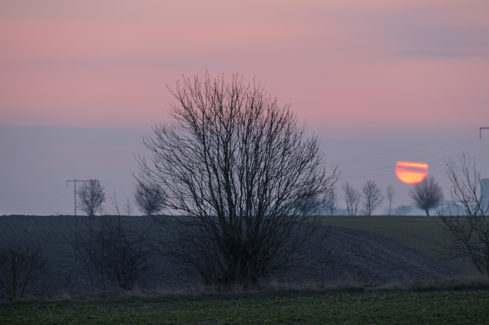 slunečnímu záření, krajina, západ slunce, kopec, Příroda, tráva, nebe, pole, svítání, večer, ráno, mlha, slunce, vítr, horizont, soumrak, mrak, strom, mlha, svítání, nebe, venkov, landsbygd, soluppg ng, s dersl tt, landskap, gryning, morgon, prostý, prérie, venkov, atmosférický jev, dřevina