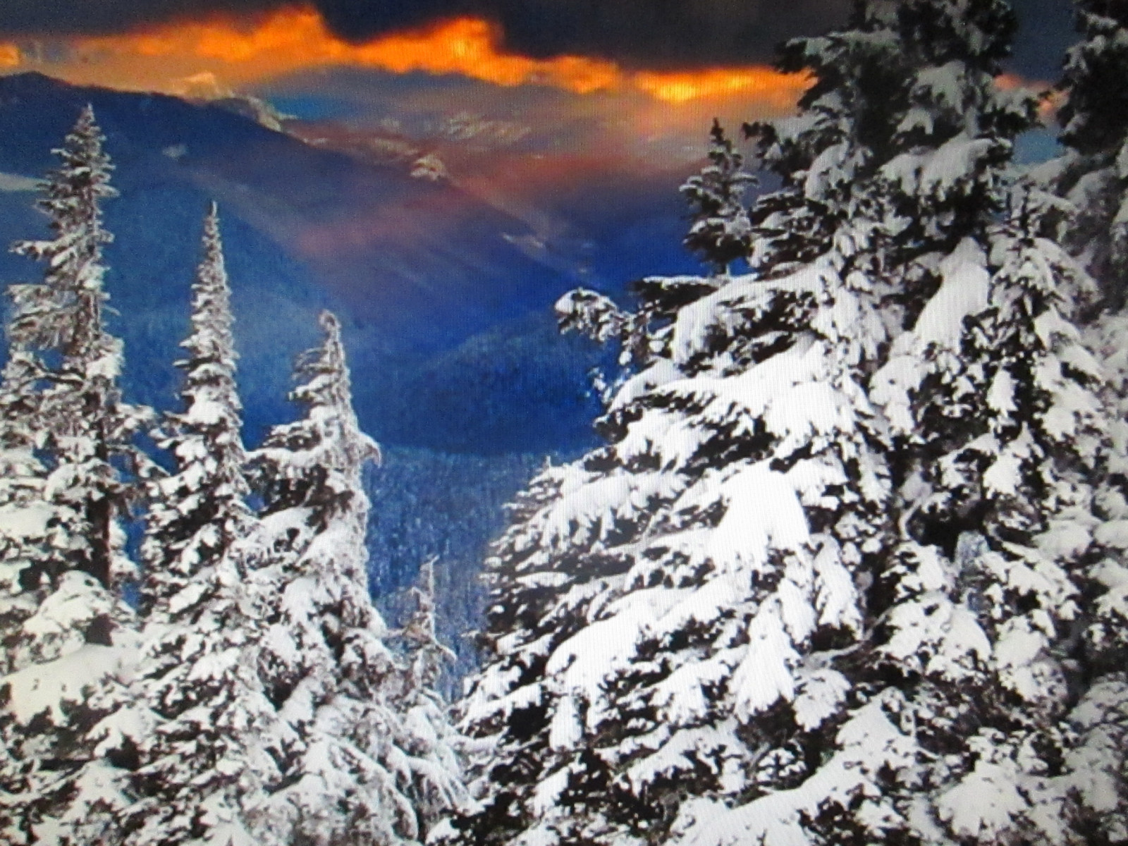 alberi, natura, la neve, inverno, Sole, Canone, Alpi, perni, vertice, cresta, montagna, tempo metereologico, stagione, luce del sole, Massiccio, pista, infinitexposure, chanelchat, morfologie montane, fenomeno geologico, catena montuosa