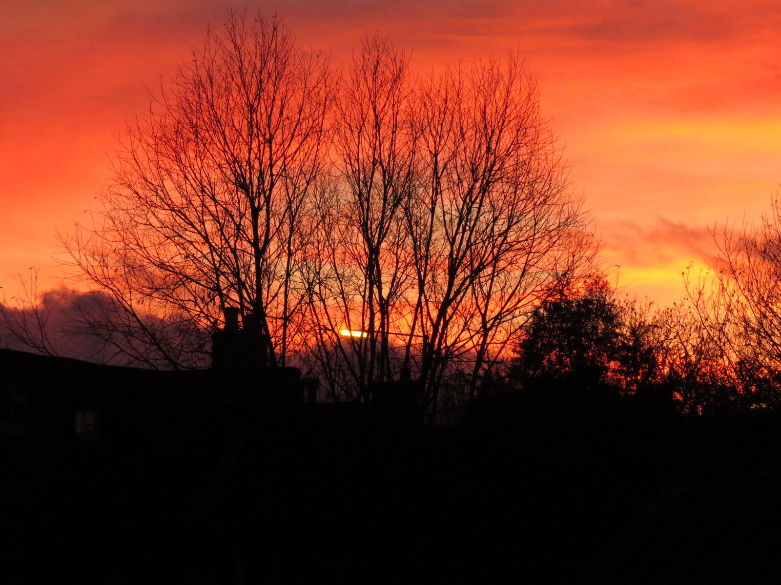 himmel, rød himlen om morgenen, natur, efterglød, solnedgang, solopgang, daggry, træ, atmosfære, aften, morgen, afdeling, Sky, Sol, skumring, sollys, blad, geologisk fænomen, horisont, landskab, computer tapet, efterår, meteorologisk fænomen, himmellegeme