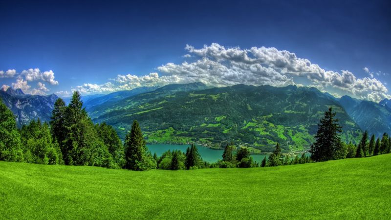slunečnímu záření, krajina, les, kopec, Příroda, tráva slunečnímu záření, krajina, les, kopec, Příroda, tráva