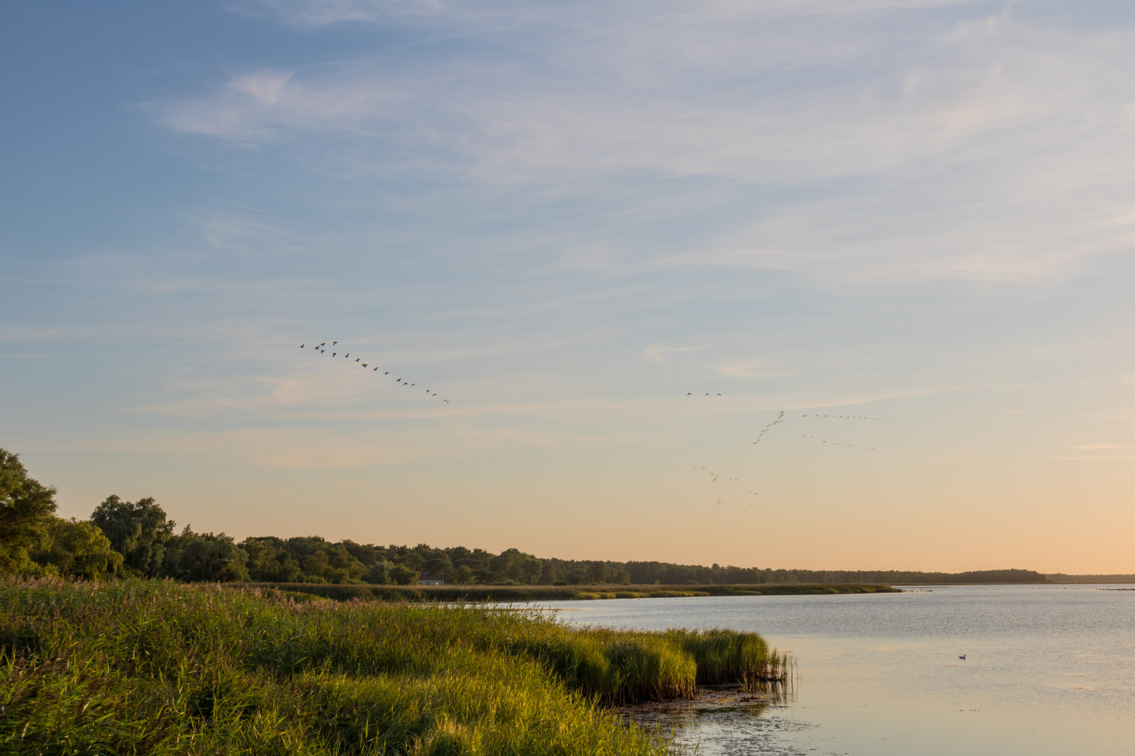 krajina, západ slunce, moře, jezero, voda, Příroda, pobřeží, odraz, nebe, svítání, večer, ráno, pobřeží, řeka, horizont, soumrak, mokřadní, mrak, svítání, nebe, vatten, hav, moln, exif modelu canoneos760d, geocountry, Kamera aby kánon, geocity, Model fotoaparátu canoneos760d, geostate, geolocation, EXIF čočka efs18200mmf3556is, exif aby kánon, EXIF isospeed 100, exif focallength 28mm, EXIF otvor 90, falsterbokanalen, nádrž, bažina, místo výskytu, přírodní prostředí, atmosférický jev