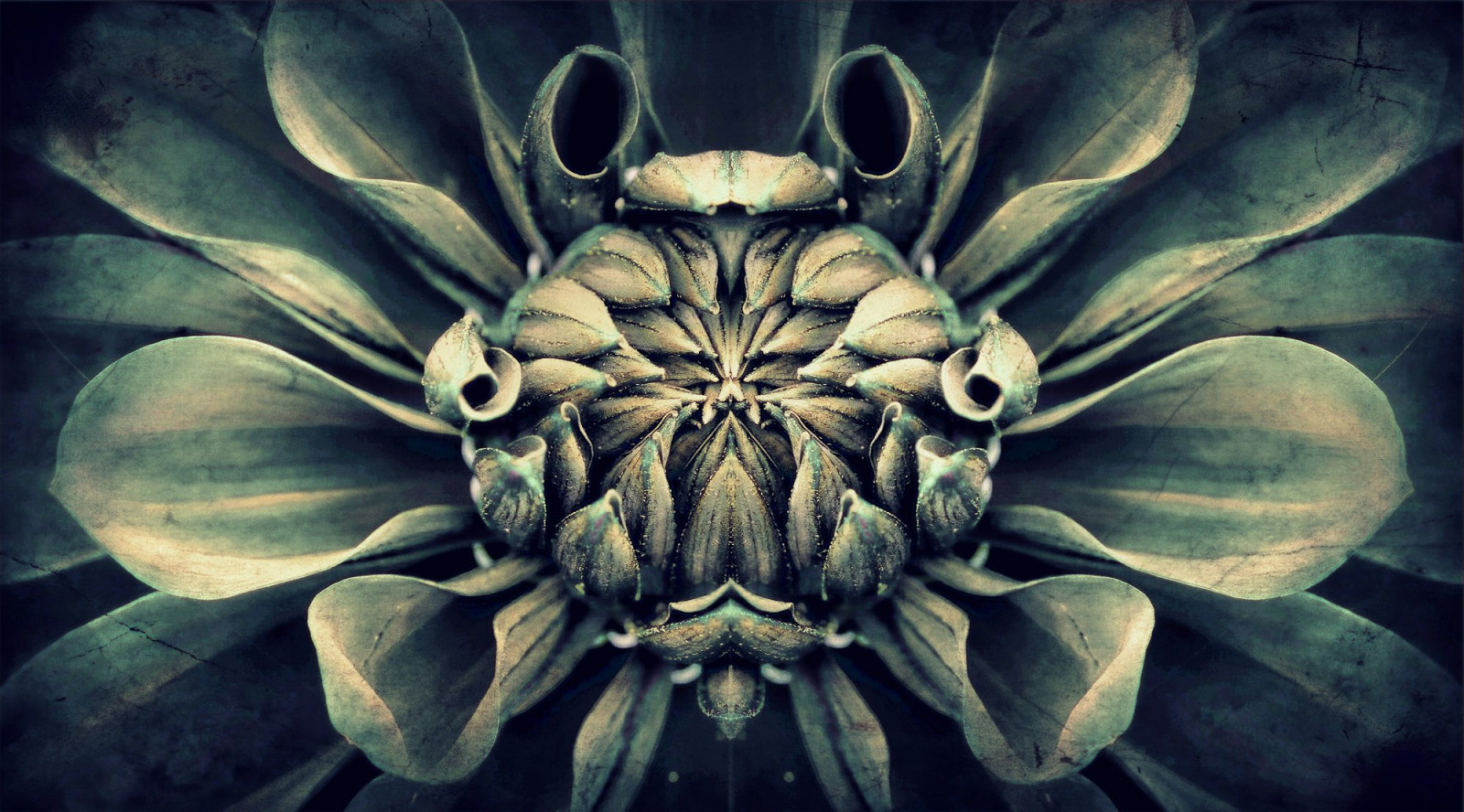 fiori, astratto, caldo, fiore, macro, ARTE, natura, digitale, lumix, petali, freddo, arte astratta, eccezionale, arte digitale, Panasonic, artsy, sbalorditivo, pittoresco, artsyfartsy, arte visiva, Ott, M43, avanguardista, GH2, micro43, MicroFourThirds, cluke, dmcgh2, panasonicgh2, lumixgh2, panasoniclumixgh2, panasoniclumixdmcgh2