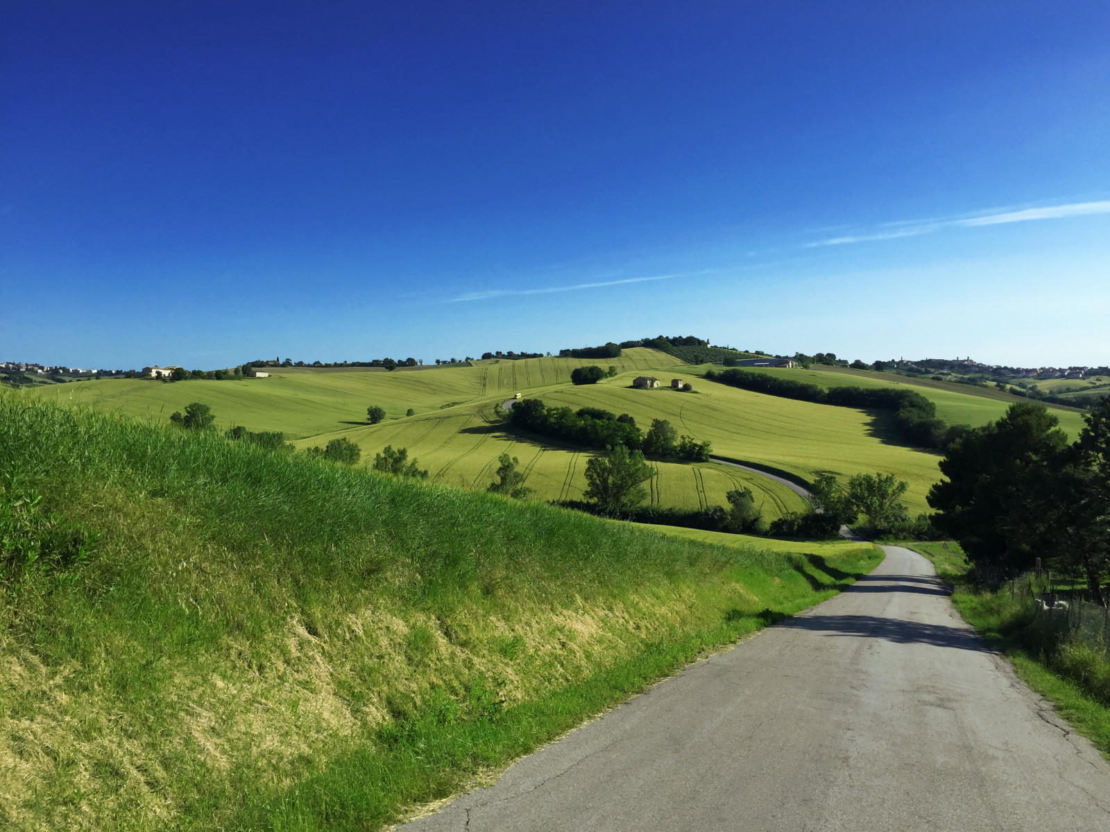 stromy, krajina, ulice, Itálie, kopec, Příroda, tráva, nebe, stín, pole, silnice, panoráma, zelená, textura, Prašná silnice, horizont, panoráma, údolí, iPhone, perspektivní, plošina, step, světlo, země, expozice, barvy, hora, lučina, fotografie, venkov, pastvina, zemědělství, louka, bleu, prostý, Jesi, Eugenio, Coppari, USC, Marche, prérie, venkov, místo výskytu, přírodní prostředí, horských reliéf, geografický rys, ekosystém, pohoří