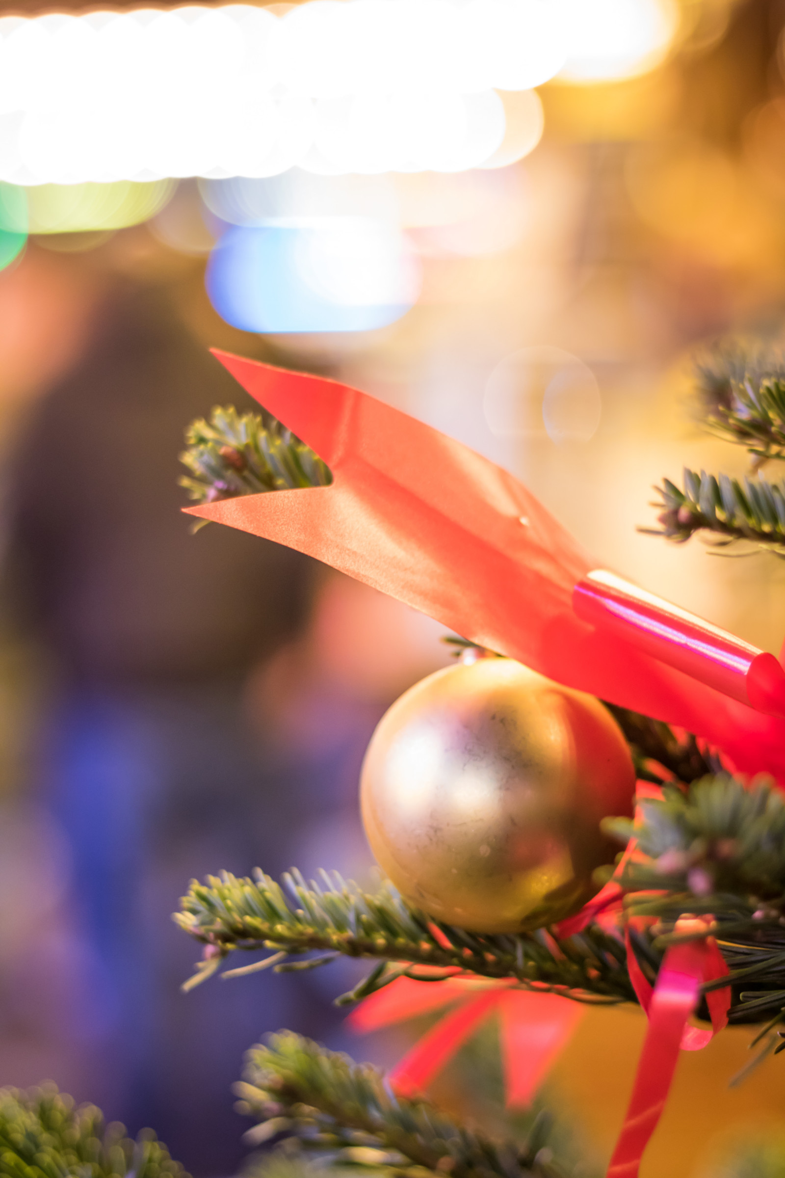 Wallpaper : branch, Germany, Christmas Tree, color, tree, autumn, leaf