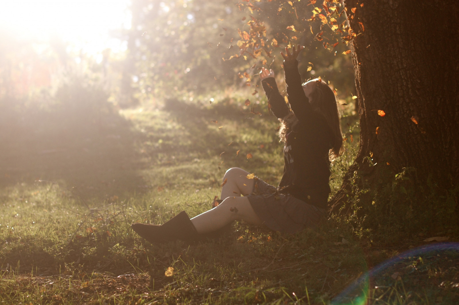 slunečnímu záření, krajina, les, podzim, listy, Příroda, tráva, nebe, fotografování, větev, večer, ráno, slunce, podsvícení, boty, vzduch, světlo, strom, podzim, list, rostlina, dívka, Sluneční svit, zábava, sunray, stock photography