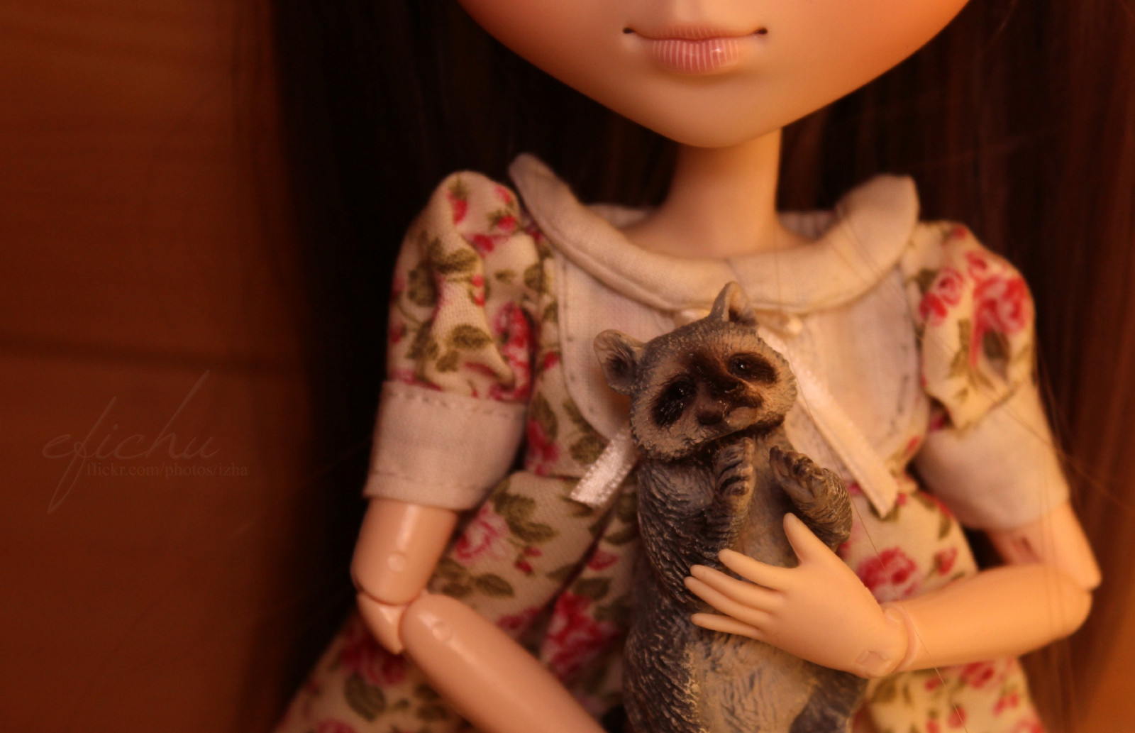 hnědý, roztomilý, zvíře, mlhavý, Hračka, miniaturní, panenka, ines, kaštanové, M, paruka, kawaii, pullip, mýval, SBH, Schleich, Leeke, obitsu, ddalgi, 27cm, leekeworld, rewigged, izha, rebodied, mistybrown, obitsued, efichu