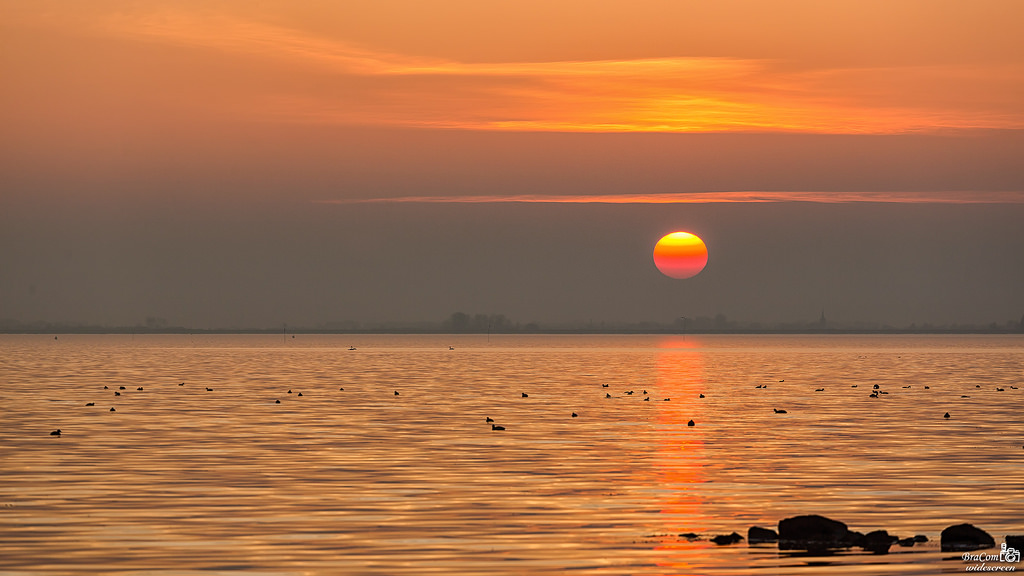 bracom, západ slunce, Zonsondergagn, zon, slunce, jezero, meer, nebe, odraz, spiegeling, ptactvo, VOGELS, skály, rotsen, mrak, Wolk, večer, Avond, stromy, kostel, siluety, Herkingen, goereeoverflakkee, Grevelingen, zuidholland, nederland, southholland, Nizozemí, Holandsko, canoneos5dmkiii, širokoúhlý, Kánon, 169, Canonef70200mm, bramvanbroekhoven, nl