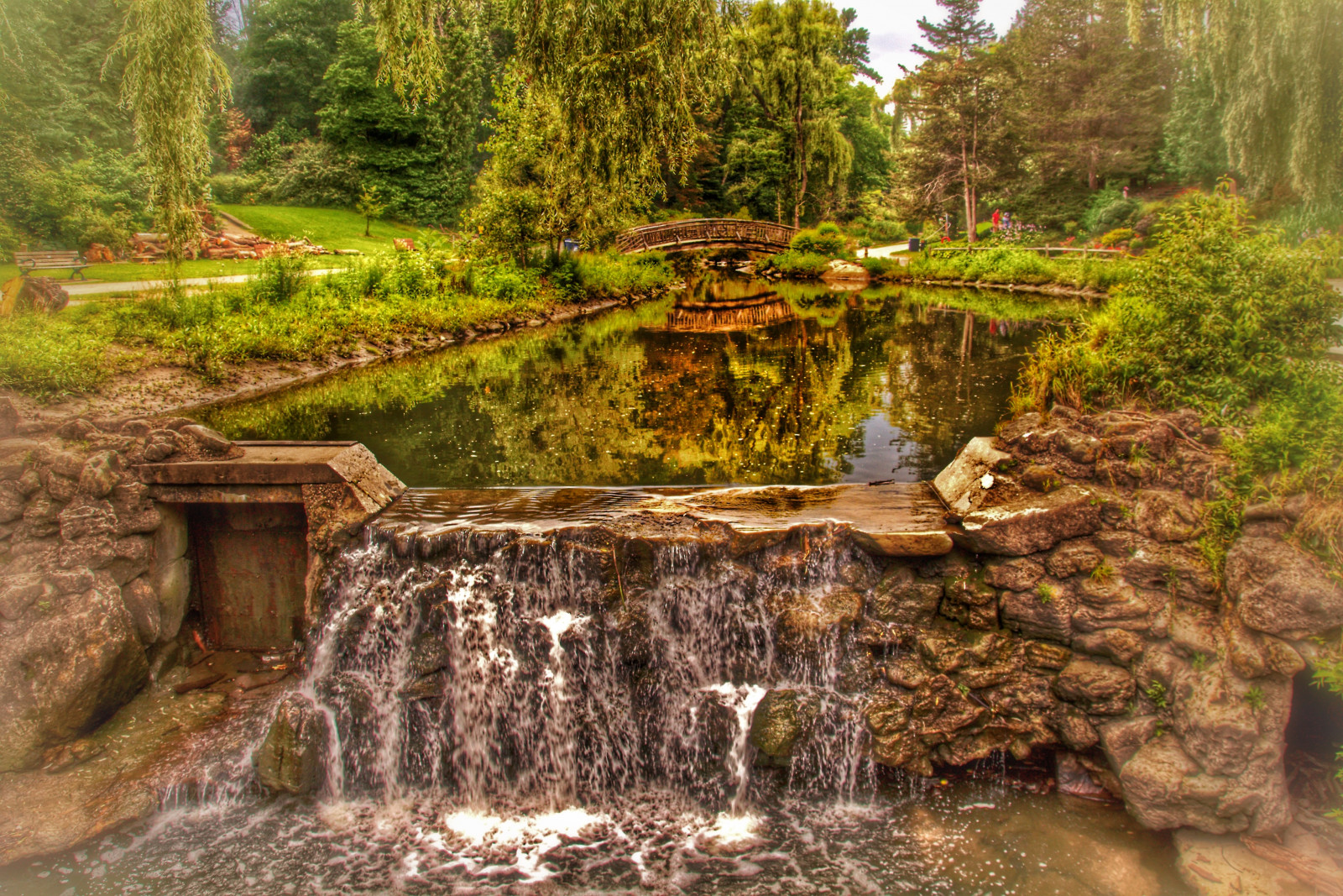 ponte, Toronto, Ontario, fiore, macro, riflessione, autobus, acqua, giardini, torrente, Canone, fiume, a passeggio, botanico, eos, ribelle, vedere, Lawrence, flickr, ramo, fuga, Metro, sigma, tag, Inserisci, Ave, e, stame, don, sunburst, fiori selvatici, d100, dovere, edwards, Fontana d'acqua, GTA, tour, mulini, cascata, rupert, attrazione, sl1, sopra, D1000, 18,25 mila millimetri, wilket, onasill