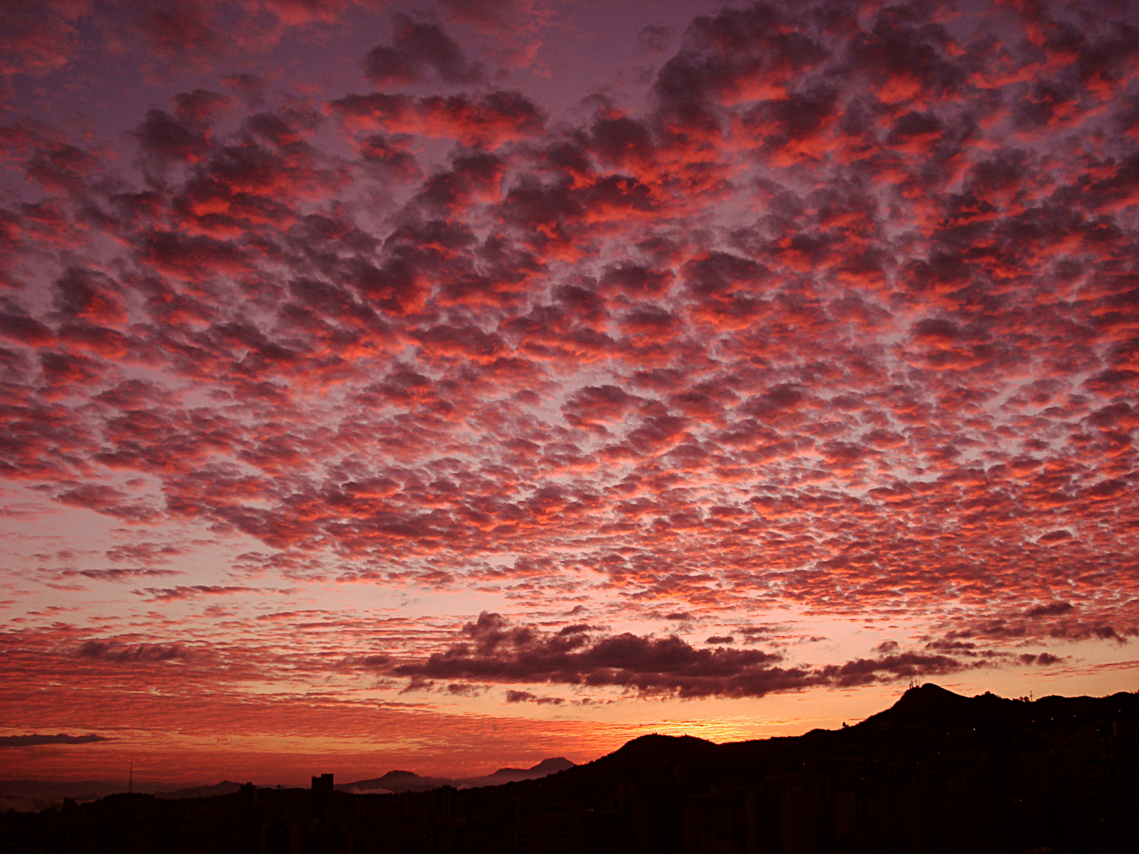 cielo, Sole, Sol, natura, nuvole, contraluz, paesaggio, Soleil, Minas, searchthebest, ceu, ciel, cielo, nubes, Nuvens, bullseye, suola, nuages, cool, stella splendente, horizonte, villaggio globale, nastro blu, belo, una foto, una classe, la galleria, la scelta della gente, quello grande, judgmentday, Supershot, instantfave, bellezza della natura, theworldthroughmyeyes, flickrnature, expressionistphotography, sunshotsanyweather, paisajesdelmundo, beautifulcapture, solo il meglio, mywinners, abigfave, tepasaste, 10to1, shieldofexcellence, flickrfavoritephotographers, anawesomeshot, favoritesonly, colorphotoaward, impressedbeauty, impressedbyyourbeauty, holidaysvacanceurlaub, superbmasterpiece, 6favesand100views, Fireintheskybynature, Onenesslabyrinth, theothervillage, flickerdiamond, photosandcalendar, tornadoaward, Globalvillage2, frhwofavs, thecoolestdamncoolphotographers, seasunclouds, Elgrangrupo, Eccellenti fotofotografi, worldpicture, 31landscape, acelebrationoflight, la scelta della gente, heartawards, bahrain4ever, twofeetunder, primeraclase, Americasthecontinent