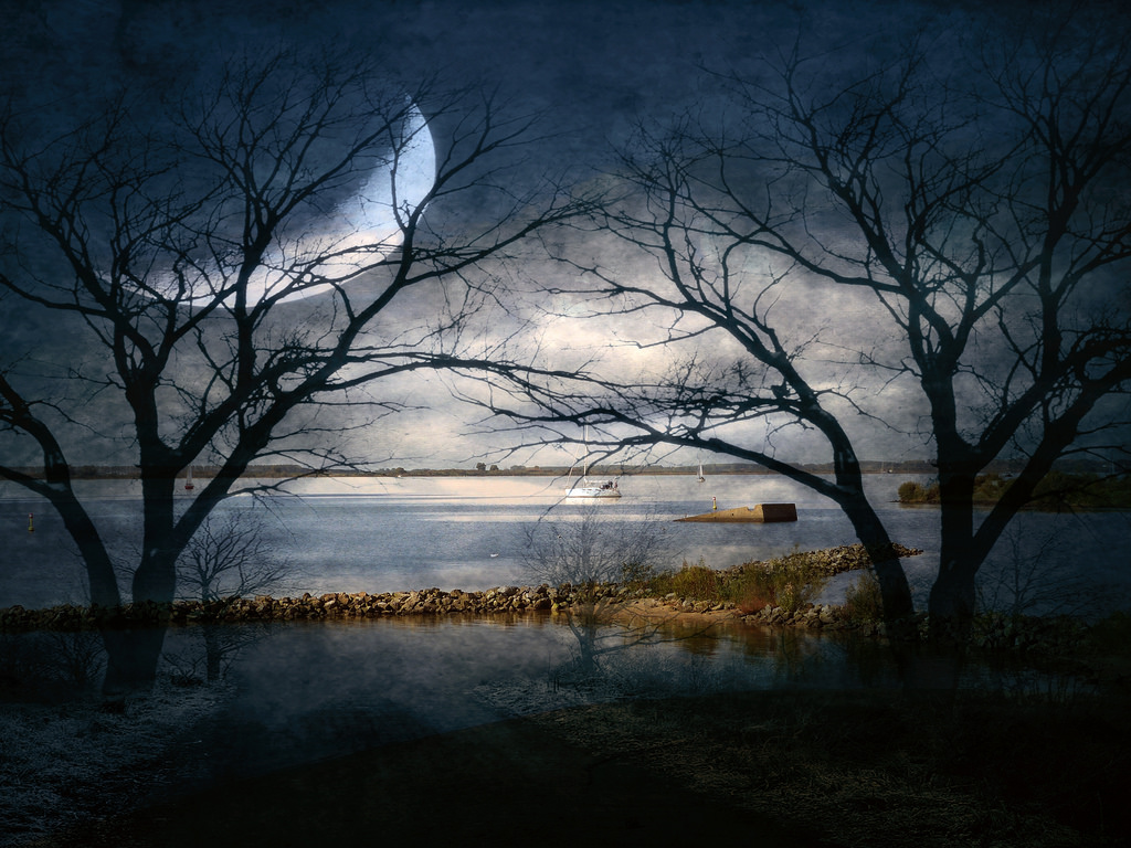 slunečnímu záření, stromy, les, západ slunce, voda, Příroda, odraz, nebe, zima, větev, svítání, večer, ráno, mlha, mráz, měsíční svit, atmosféra, soumrak, světlo, mrak, strom, podzim, mlha, počasí, svítání, rostlina, tma, waterenvirons, atmosférický jev, dřevina, backgroundtexture, brendastar, okolí, magicmoments, panasonicfz150, Adri SSV, addyvanrooij, drechtsteden