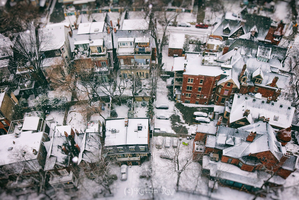 sníh, zima, urban area, město, obytný prostor, strom, město, sousedství, předměstí, zmrazení, Dům